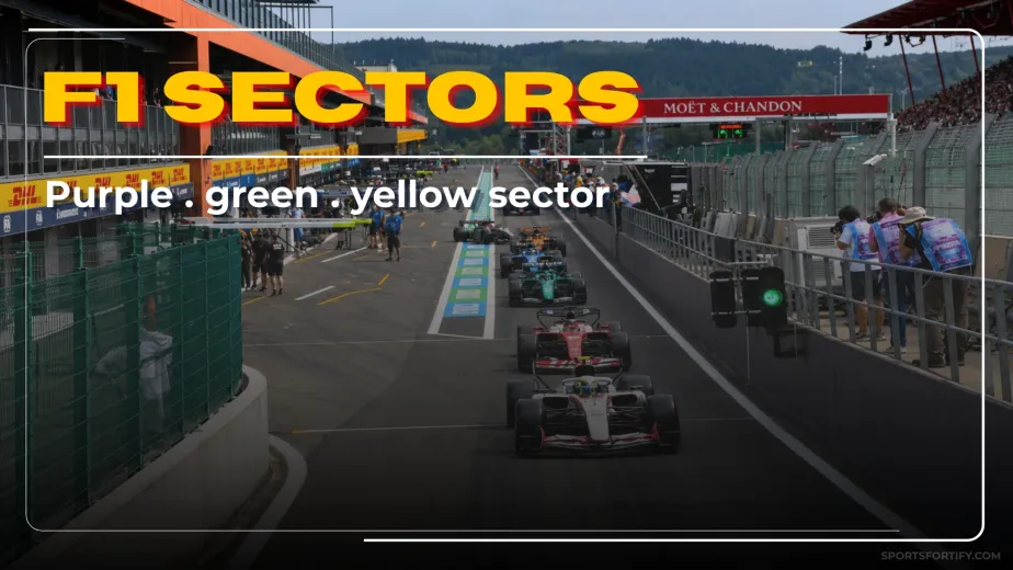 F1 sector colors diagram showing purple green and yellow sector time meanings